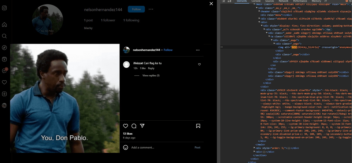 Instagram Flag on alt text